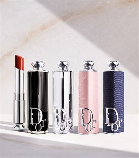 dior lipstick case price|Dior lipstick case christmas.